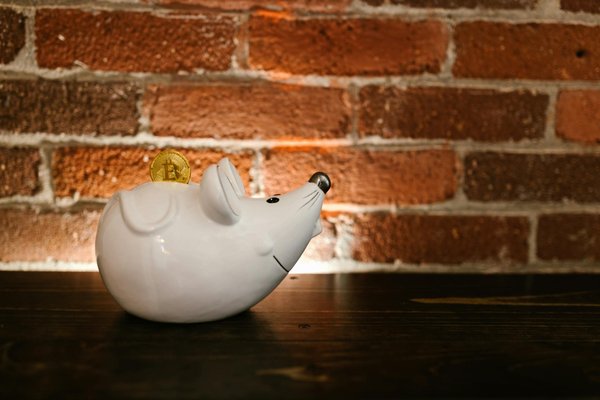 Rénovation à nice : transformer facilement maison et appartement